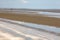 Lone mangrove on mudflat at low tide with blue sky