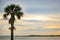 A lone palm tree watches the sunset over the Gulf