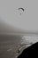 A lone Paraglider daringly gliding over the ocean along the Shore line of Lima Peru