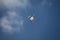 Lone paraglider in the sky