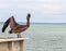 A lone pelican on a wooden pier overlooking the Gulf of Mexico