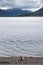 Lone person relaxing on the beach at Ullapool, west coast of Scotland, on a cool, cloudy summer`s day.