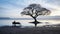 a lone person sitting on a bench under a tree