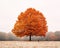 a lone person standing in front of an orange tree