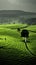 A lone person walks through a green field. Generative AI image.