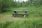 A lone picnic bench at a forest in the rocky mountains.