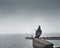 A lone pigeon sits on a fence wall on the ocean