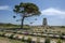 The Lone Pine Cemetery and Memorial at Gallipoli in Turkey.