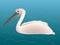 A lone pink pelican floats calmly across the water