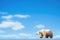 lone polar bear against blue arctic skies