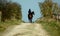 Lone Racehorse walking down country lane