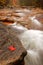 A lone red maple leaf lies on a rocky shelf near a roaring brook