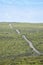 Lone road leading through lush greenery in Australia