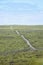 Lone road leading through lush greenery in Australia