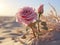 A lone rose blooms in delicate pink hues amidst the arid desert landscape.