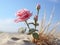 A lone rose blooms in delicate pink hues amidst the arid desert landscape.