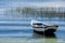 Lone row boat on lake titicaca amidst palm reeds