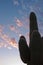 A lone saguaro cactus under pretty skies