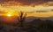 Lone Saguaro Cactus With Vibrant Desert Sunrise Sky