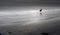 A lone seagull walks along the deserted ocean shoreline