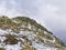 Lone sheep on snowy rocky area