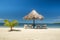 Lone short palm next to Tiki style umbrella shades four empty lounge chairs at water\'s edge
