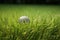 a lone shot put ball on a grassy field