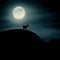 A lone silhouette of a goatunder the light of a full moon