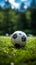 Lone soccer ball rests on lush sports field, awaiting the next play