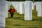 Lone soldier unmarked grave cemetery