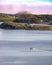Lone solo fisherman on a small boat - Twillingate, Newfoundland Canada