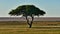 Lone standing acacia tree on a meadow with green grass in Kalahari desert with Etosha pan in Etosha National Park, Namibia.