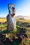 Lone standing moai in bright sunshine in Easter Island