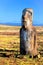 Lone standing moai in bright sunshine in Easter Island