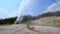 Lone Star Geyser Yellowstone