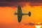 A lone Supermarine Spitfire Mk IIa against an orange sky