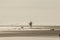 A lone surfer in wet suit returning to beach from ocean with birds standing and flying and a rope washed up onto the shore - Sepia