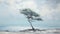 Lone Tree At The Beach: Light Cyan And Gray Painting