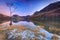 Lone tree at Buttermere in The Lake District