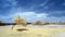 Lone tree casting a shadow on grass under a blue sky