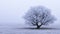 Lone Tree Embraced by Frosty Serenity