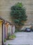 Lone tree in the garage yard, parking yard in the city
