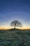 Lone tree on Grindon Moor, Staffordshire, White Peak, Peak District