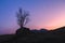 A lone tree grows on a rock in Glencoe, Scotland at blue hour with a sliver moon in the colorful sky.