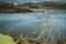 A lone tree juts into the water at Llyn Dywarchen in the Snowdonia National Park