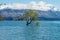 The Lone tree of lake Wanaka the fouth largest lake of New Zealand in spring season.
