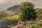 A lone tree by Llyn Dywarchen in the Snowdonia National Park. Y Garn is in the distance.