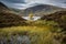 Lone tree in Loch Skeen