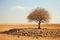 a lone tree in the middle of an arid landscape