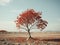 a lone tree in the middle of a barren field